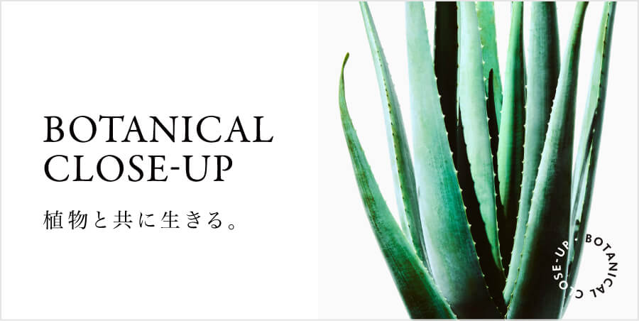 BOTANICAL CLOSE-UP 植物と共に生きる。