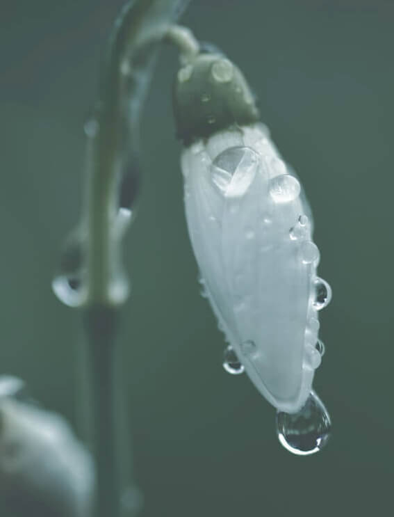 美容シートマスクは毎日使う？シートマスクの使用頻度などワンポイントアドバイスを紹介！