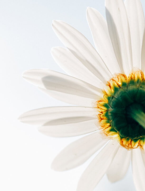 肌にやさしいアミノ酸シャンプー!低刺激で健やかな肌に