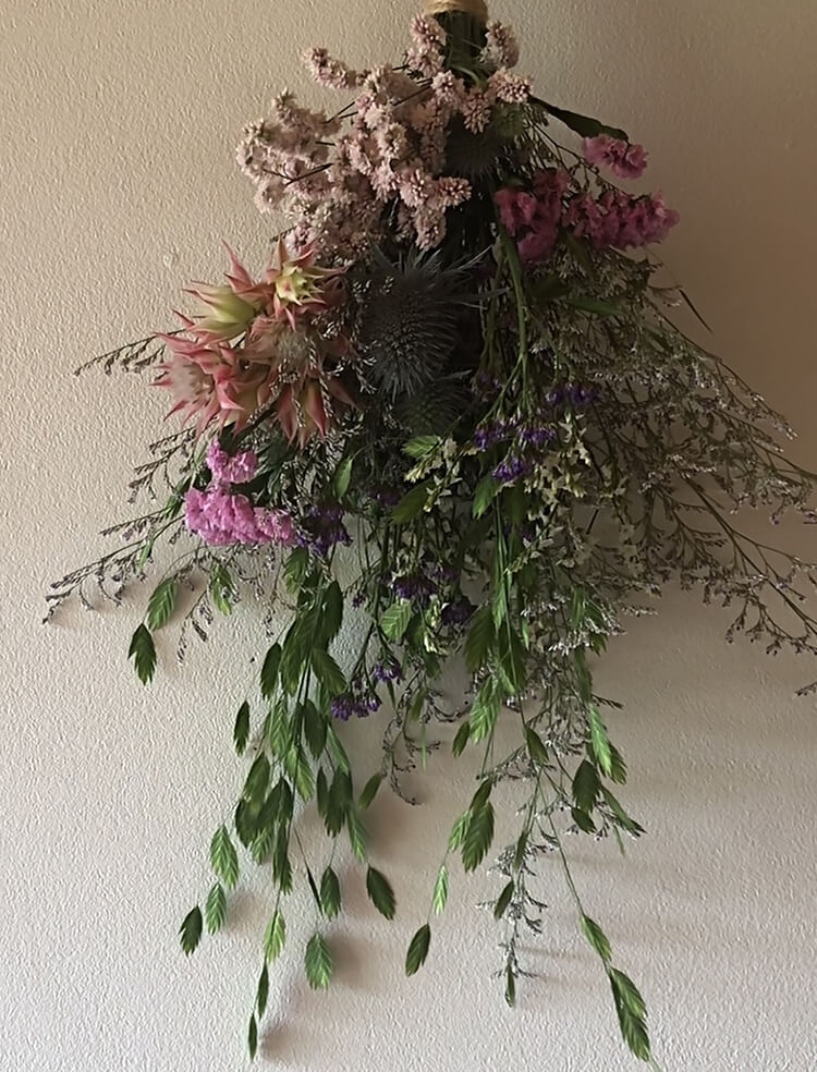 「植物も生きている」と感じた映画のススメ―前田有紀さん―