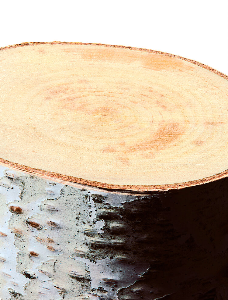 自然の恵み、バーチウォーター